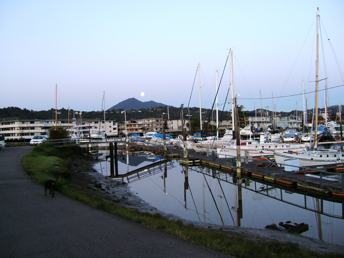 Photograph of Marin Harbor